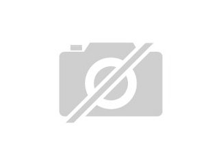 Suche Häsin für meinen Rammler